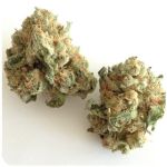 Шишки "White Widow" (Белая вдова) Гидропоника - Бошка VHQ в Камышлове Шишки "White Widow" (Белая вдова) Гидропоника - Бошка VHQ в Камышлове