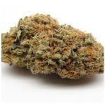 Шишки AK47 (Гидропоника, Бошка) VHQ в Камышлове Шишки AK47 (Гидропоника, Бошка) VHQ в Камышлове